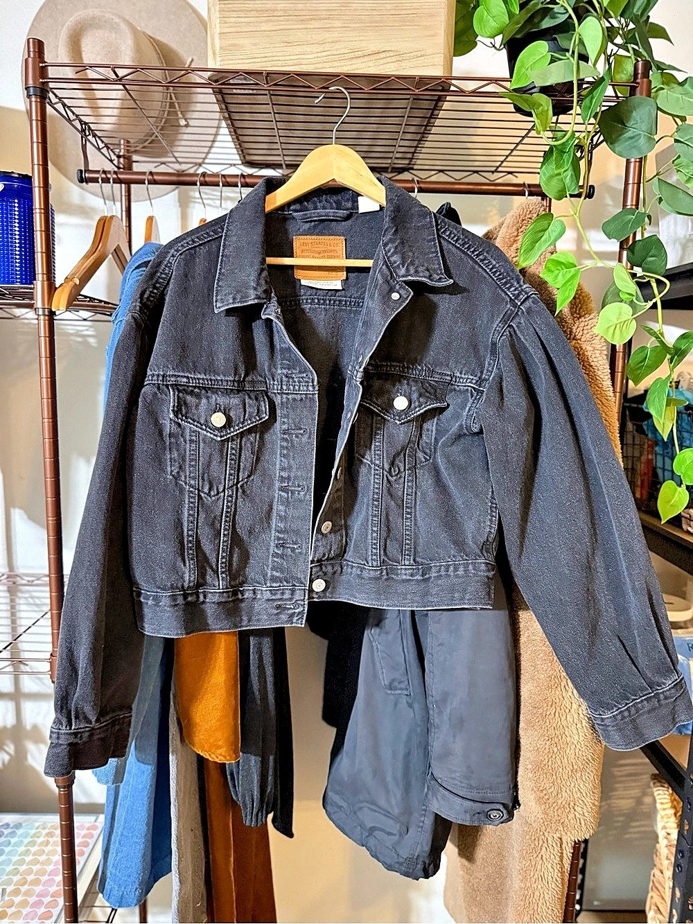 Levi's Pleated Sleeve Trucker Jacket Black Denim Jacket